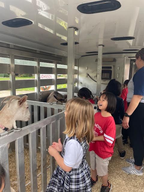 Petting Zoo Visit